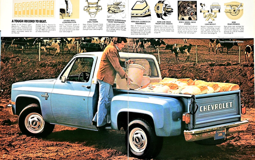 NEUWERTIGER 1981 CHEVROLET PICKUP VERKAUFSPROSPEKT KATALOG ~ 20 SEITEN - Bild 4 von 12