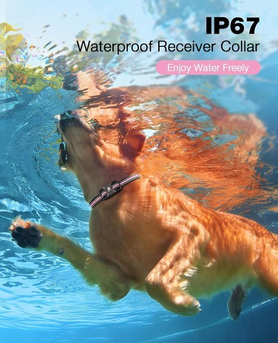Dog Training Collar with Remote - 3300Ft Waterproof Dog Shock Collars with Beep - Picture 6 of 9