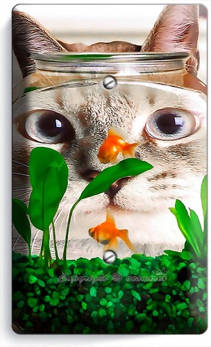 LUSTIGE KATZENBEOBACHTUNG GOLDFISCHE AQUARIUM LICHTSCHALTER STECKDOSE WANDPLATTEN ZIMMERDEKO - Bild 5 von 33