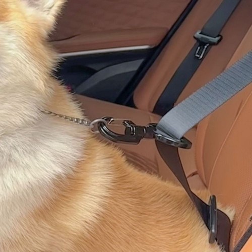 1PC Dogs Locking Snap Seat Belts Pet Travel Car Seat Hook Pet Safety Buckle - Picture 8 of 8