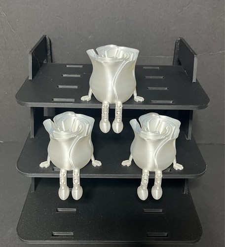 Rose Buddy A unique Gift for Valentines, Mothers Day or any Occasion - Picture 4 of 7