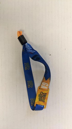 Night In The Country Carolinas Music Festival Wristband 2022 - Picture 2 of 2