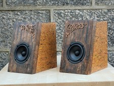 Custom Speakers 