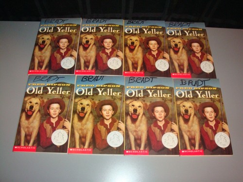 Old Yeller 16 Copies Guided Reading Lit Circle Class Set Teacher Lot Fred Gipson - Foto 5 di 5