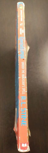 goosebumps Books and other R.L. Stine - Build Your Own Lot - Picture 108 of 451