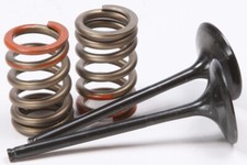 Pro X Steel Valves and Spring Kits Intake 28.SIS4341-2