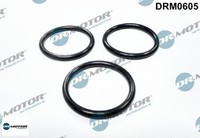 Dr.Motor Automotive DRM0605 Dichtung FüR Wasserpumpe