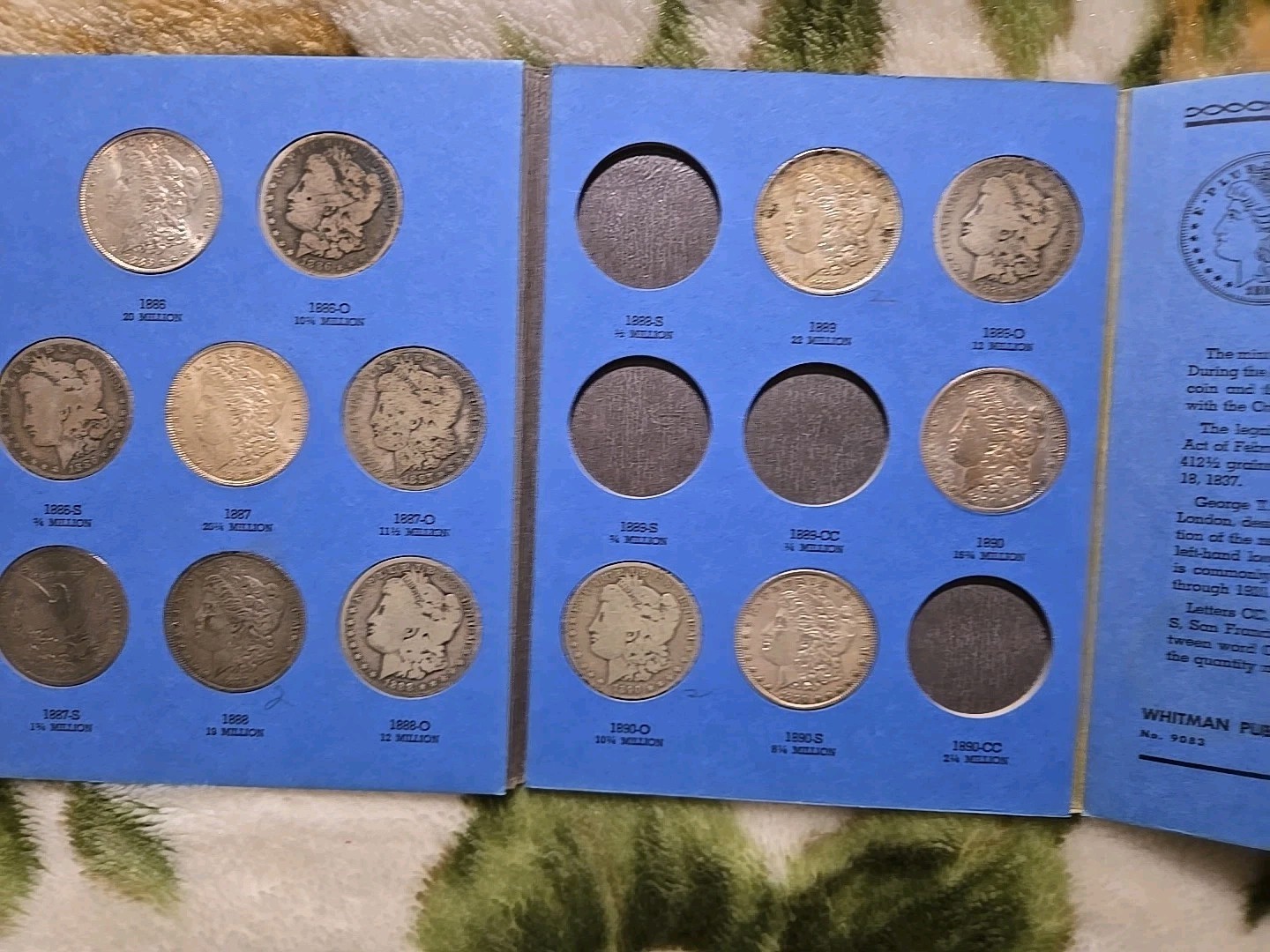 Picture 5 of 5