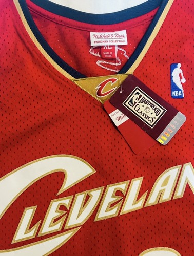 👑 Lebron James Certified Authentic Signed 2003 Jersey UDA #BAM83353 HUGE AUTO!! - Picture 4 of 9