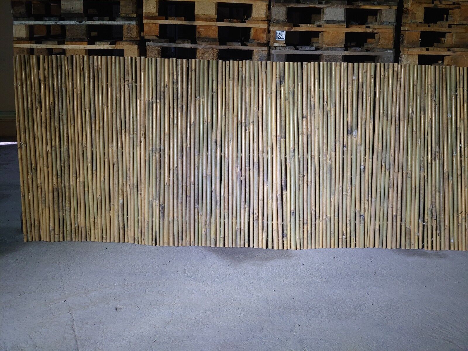 Bild 2 von 5