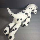 Picture 6 of 7