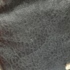 Picture 3 of 14