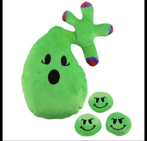 Attaboy Plush Gallbladder And Gallstones