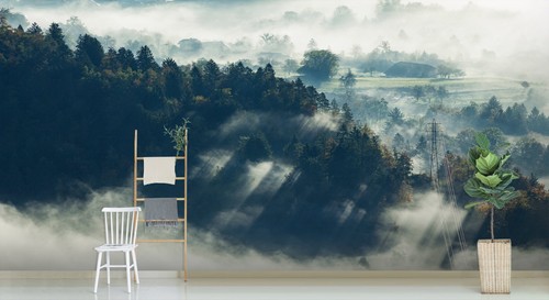 Fond décran mural 3D Clouds Forest ZHUB3151 amovible auto-adhésive tendance amy