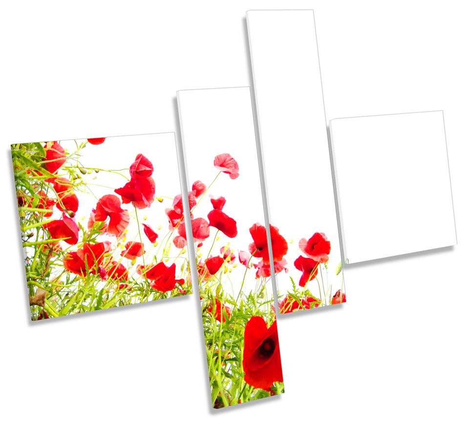Poppies Flores Floral Amapola LONA pa rojo arte impresión de múltiples Enmarcado Poppies Flores Floral rojo Amapola LONA pa rojo Floral arte impresión de múltiples Enmarcado 9f40a1