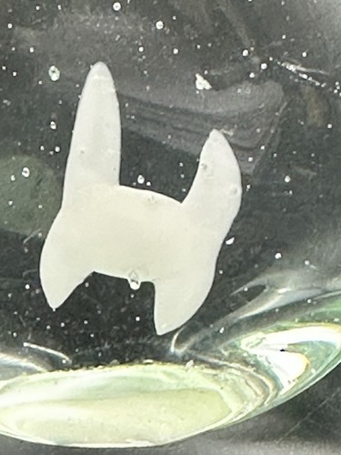 Vintage Murano Style Paper Weight Glass Dog 6" Clear w/ Bone - Picture 2 of 8