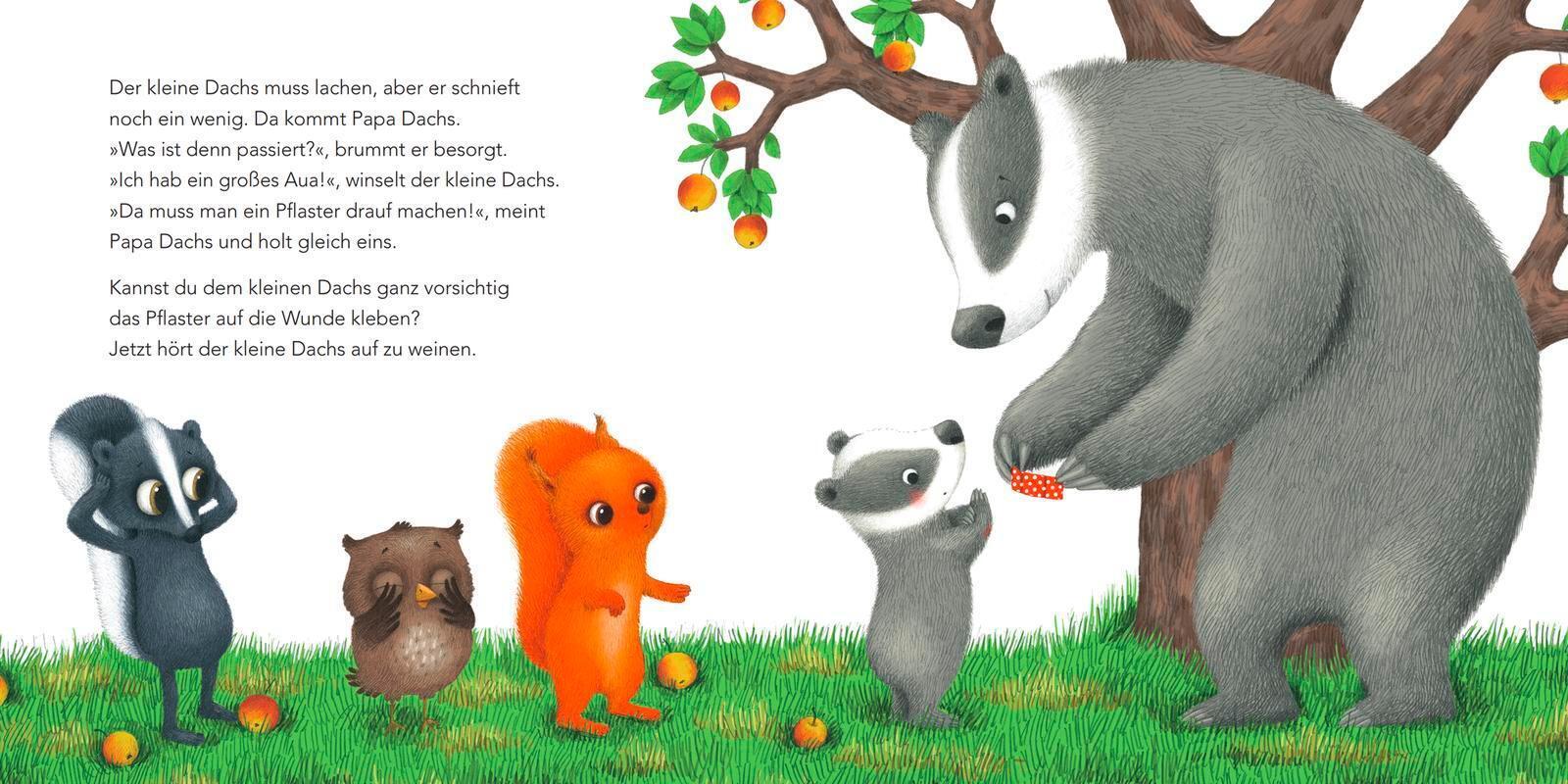 Thumbnail - Ich Hab Ein Großes Aua , Sagt Der Kleine Dachs (trost-buch) | Ab 2