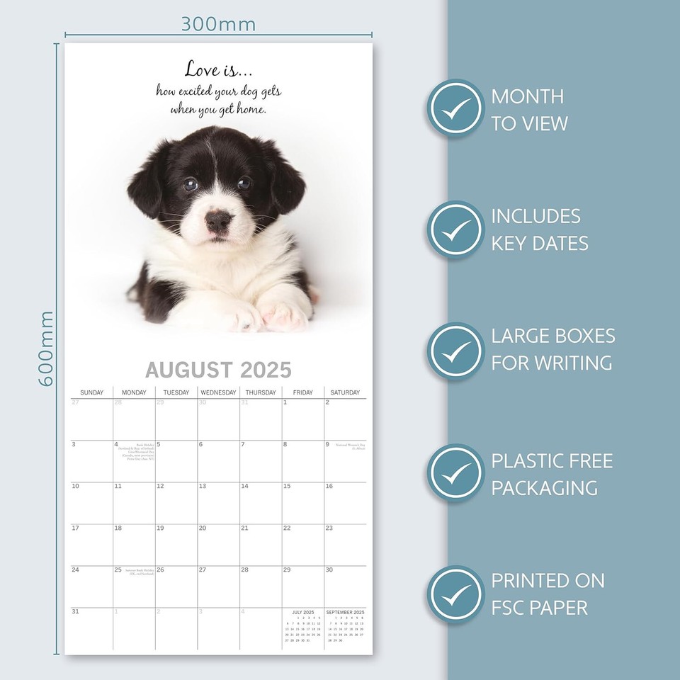 Adorable Dogs 2025 Square Wall Calendar 16 Month eBay