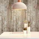 Foto 10 di 11