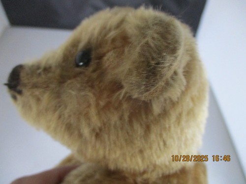 11" Antique Excelsior/Straw Filled Mohair Teddy Bear, Fully Jointed - Picture 7 of 8