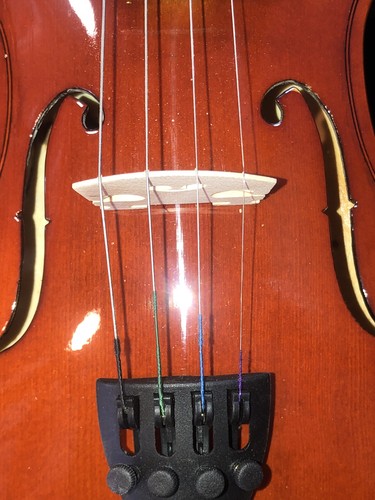 Eastar EVA-1 Full-Size 4/4 Violin Set For Beginner Student with Hard Case, - Picture 19 of 20