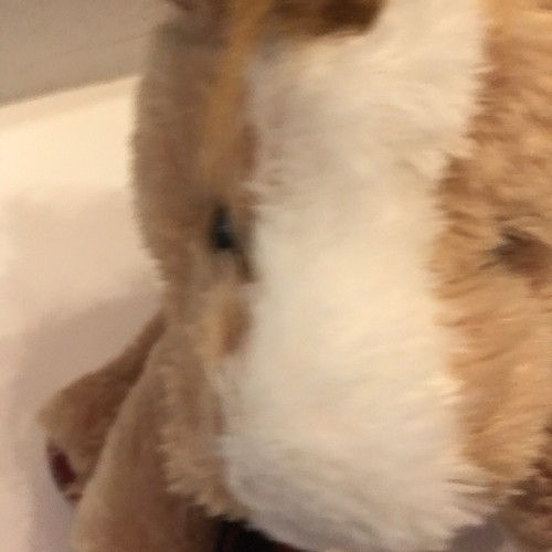 NWT Aurora Brown Plush Horse Pony Colt Foal 8” Stuffed Animal Gift Tan White Toy - Picture 12 of 12