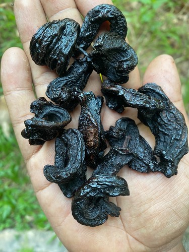 Garcinia Cambogia biologica tè perdita di peso brucia grassi naturale bevanda... - Foto 6 di 15