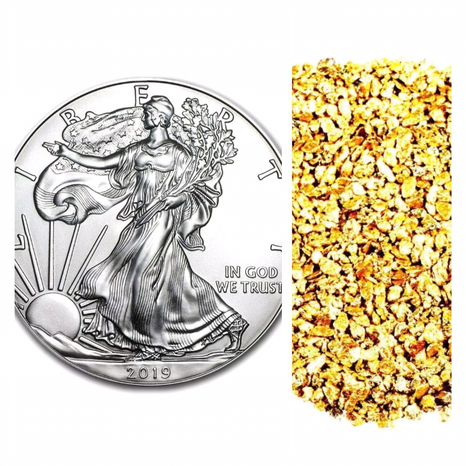 2019 American Silver Eagle One Troy Ounce .999 Fine silver Free Shipping