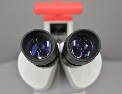 Microscopio estéreo VisionScope Ken-a-vision T-22041C con objetivos 2x/4x - Imagen 3 de 12