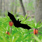 Bat 10cm Bird Protection Bird Warning Birds Sticker Window Protection