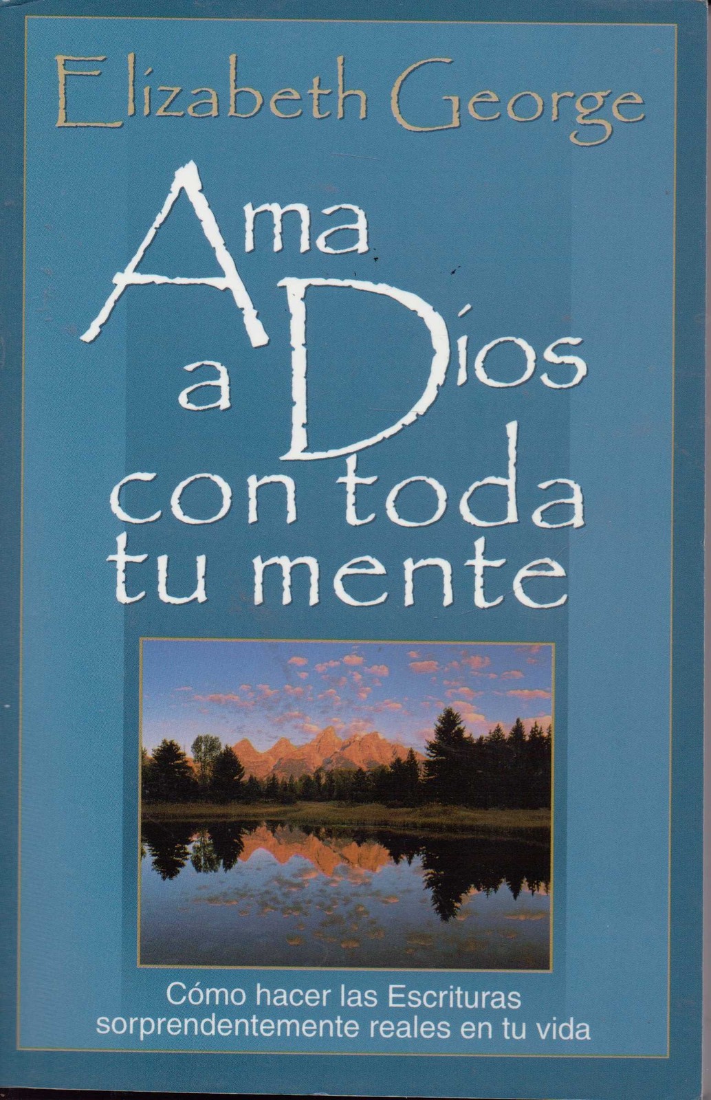 Imagen 1 de 1