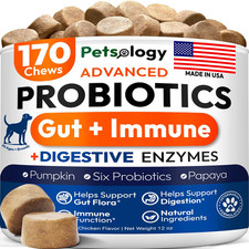 Probiotics for Dogs 170 Chews Dog Digestive Enzymes Prebiotics Support Gut