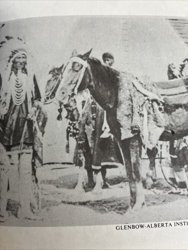 Hugh A. Dempsey, Charcoal's World: A Blood Indian 1978 PB Illustrated - Imagen 7 de 9