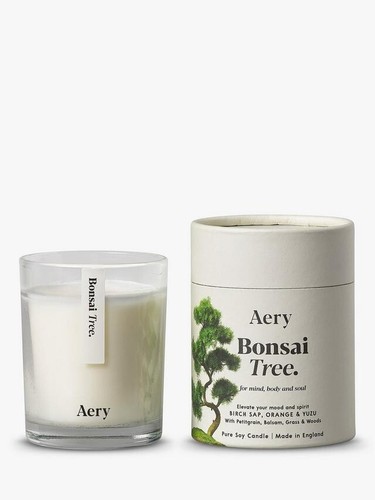 Aery Bonsai Tree Pure Soy Candle, Birch Sap, Orange & Yuzu (Worth £25)