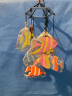 Colorful Fun Fish Windchimes