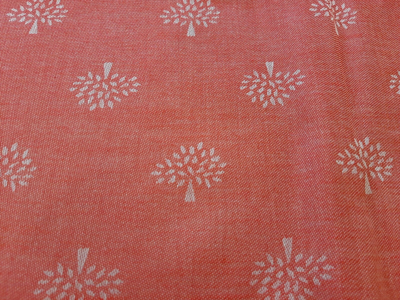 Picture 6 of 11