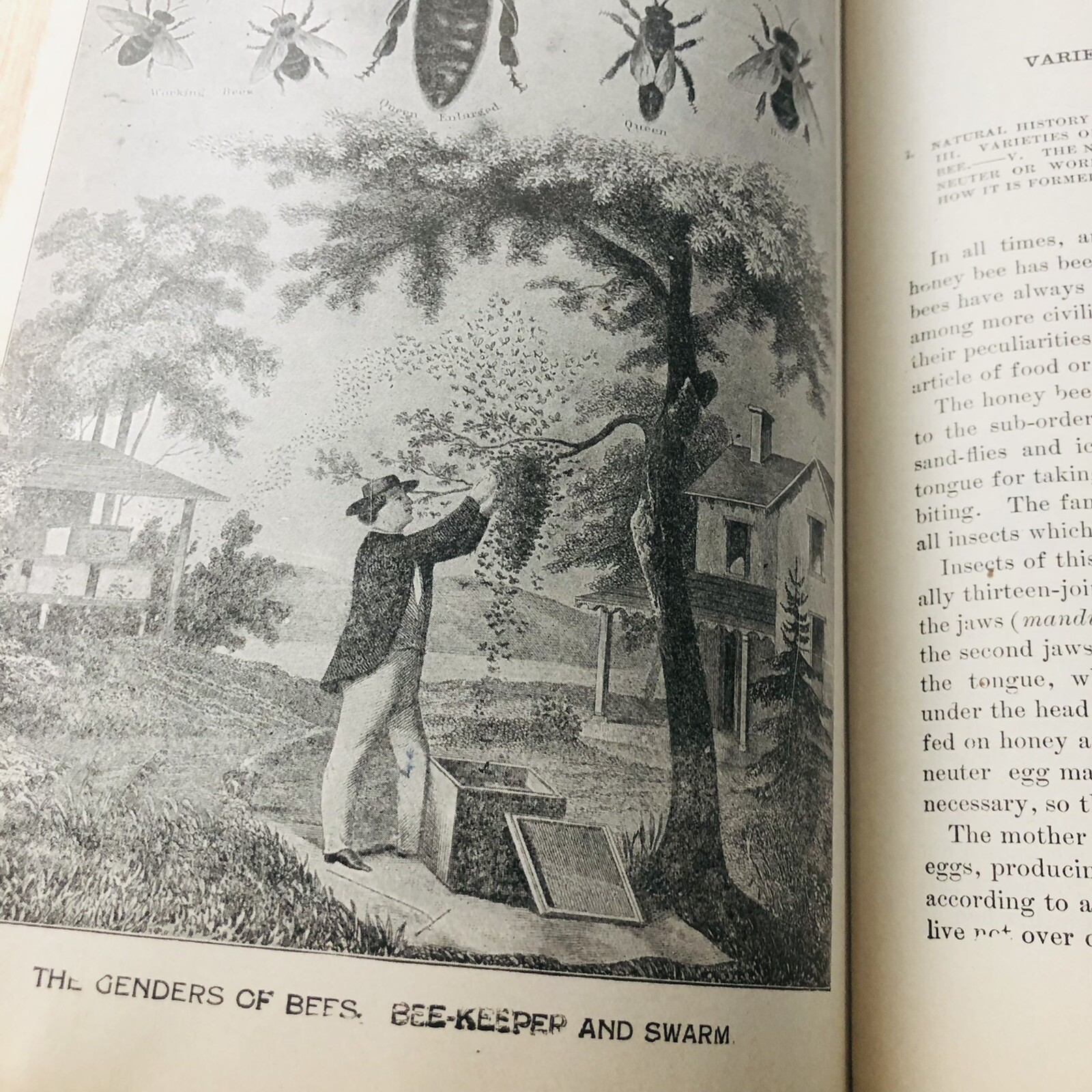 Picture 17 of 22