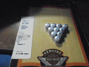 Harley-Davidson-OEM-Socket-Head-bolt-Covers-94046-03-NIB