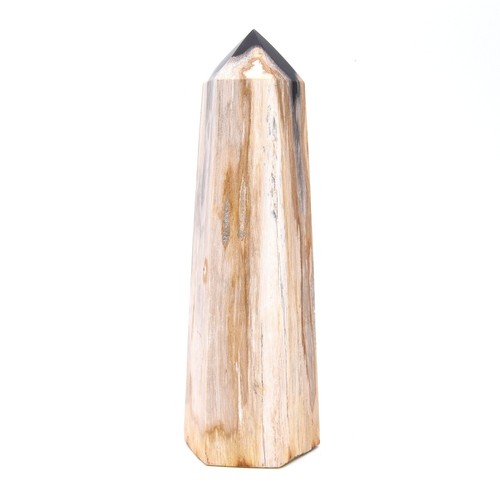 248mm Huge Petrified Wood Stone Generator Point Crystal Healing Natural Mineral  - Picture 3 of 5