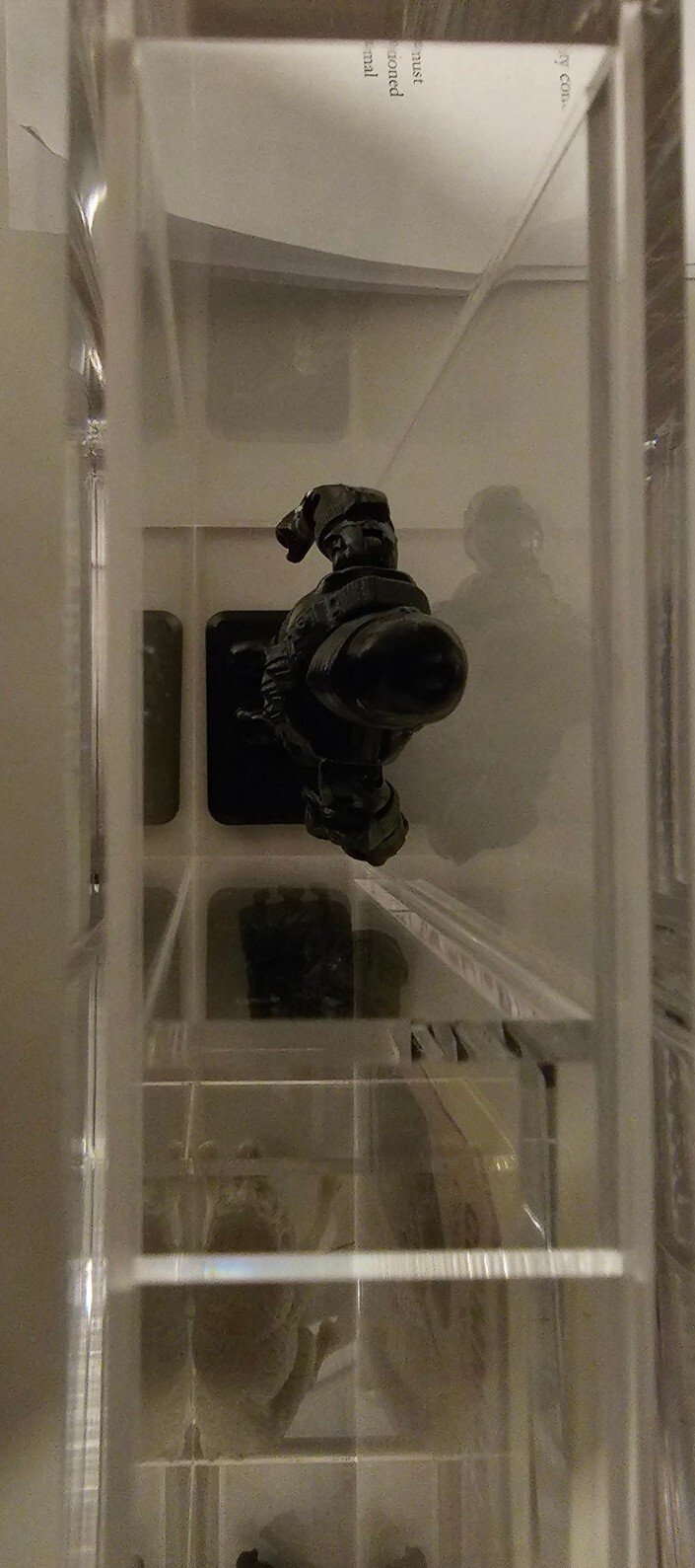 Picture 13 of 15