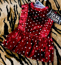 Pet Dress Dog or Cat Velvet Maroon and Silver xs med ea. SUMMER SALE 