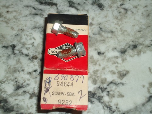 PKG. of 2 New Genuine Briggs & Stratton OEM Part 690877 Screw Hex