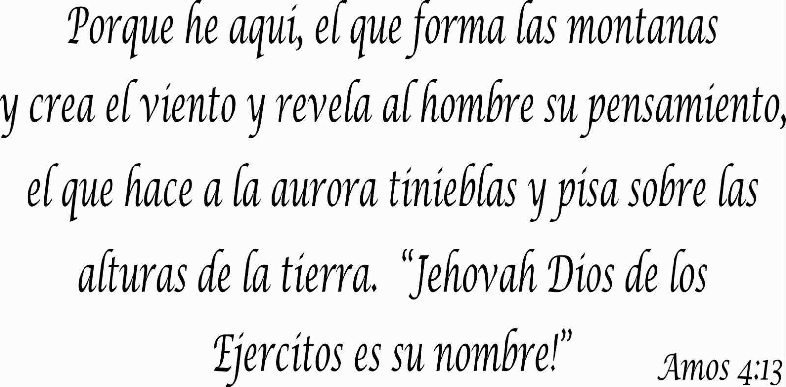 Imagen 8 de 21