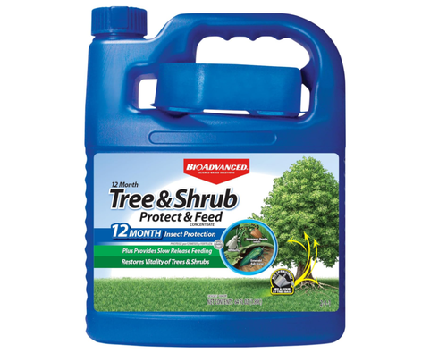 BioAdvanced- 820169K, Concentrate, 64 Oz Tree & Shrub Protect and Feed