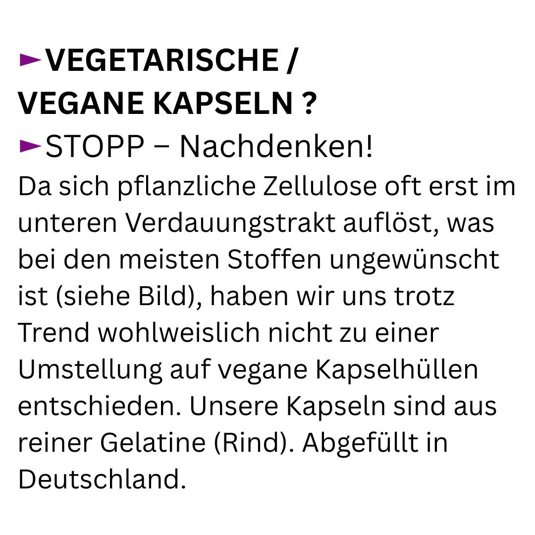 Bild 5 von 6