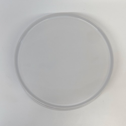 Pottery Barn Apartment Finn Stoneware 4 Dinnerware Plates 10.5" Minimalist - Picture 2 of 5