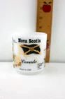 Vintage Peggy's Cove, Nova Scotia, Canada, SOUVENIR Coffee MUG Milk Glass