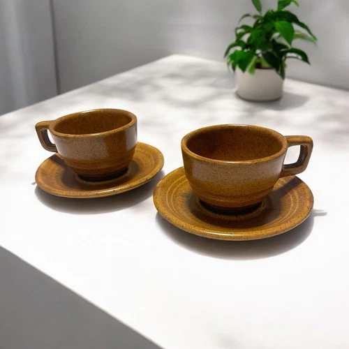 Monmouth Pottery Maple Leaf Mojave Brown Speckled Cup & Saucer Set of 2 VTG 60s