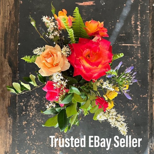 50 Mikro Gläser 1/8 Unzen Make-up Hautpflege Behälter 2801 weiße Kappe wiederverwendbar USA winzig - Bild 4 von 4