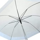 Bild 5 von 5